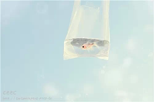 人生旅途